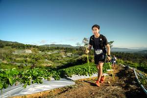 BIB: 
                            <button type="button" onclick="openModal(19121980)" class="btn btn-primary btn-sm float-right btn-popup" data-toggle="modal" data-target=".modal-high-quality">
                        <i class="fas fa-shopping-cart"></i> Add to Cart
                    </button>
                                            <button type="button" onclick="isThisMe(19121980, true)" class="btn btn-success btn-sm float-right btn-popup btn-isme hidden" data-toggle="tooltip" data-placement="bottom" title="นี่คือรูปของคุณใช่ไหม คลิกที่นี่เพื่อเอาเข้าอัลบั้ม">
                        <i class="fas fa-plus"></i> Add to album
                    </button>
                    <button type="button" onclick="isThisMe(19121980, false)" class="btn btn-warning btn-sm float-right btn-popup btn-isnotme hidden">
                        <i class="fas fa-ban"></i> Remove from album
                    </button>